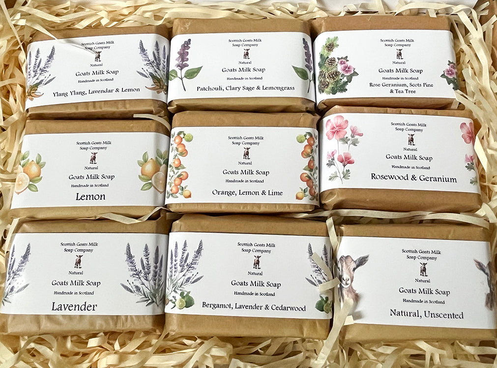 Guest Size Goats Milk Soap Bar Gift Set | 9 Varieties | Gift Boxed