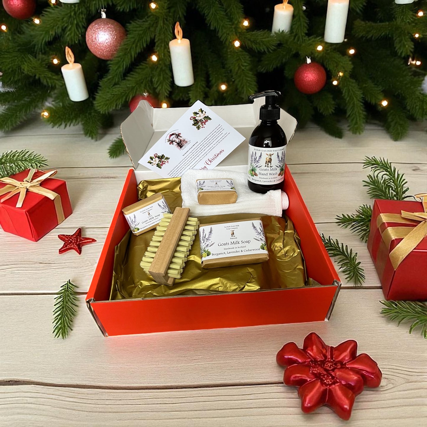 Deluxe Christmas Goats Milk Soap & Hand Wash Gift Set | 6 Scent Boxes to Choose From | Gift Boxed