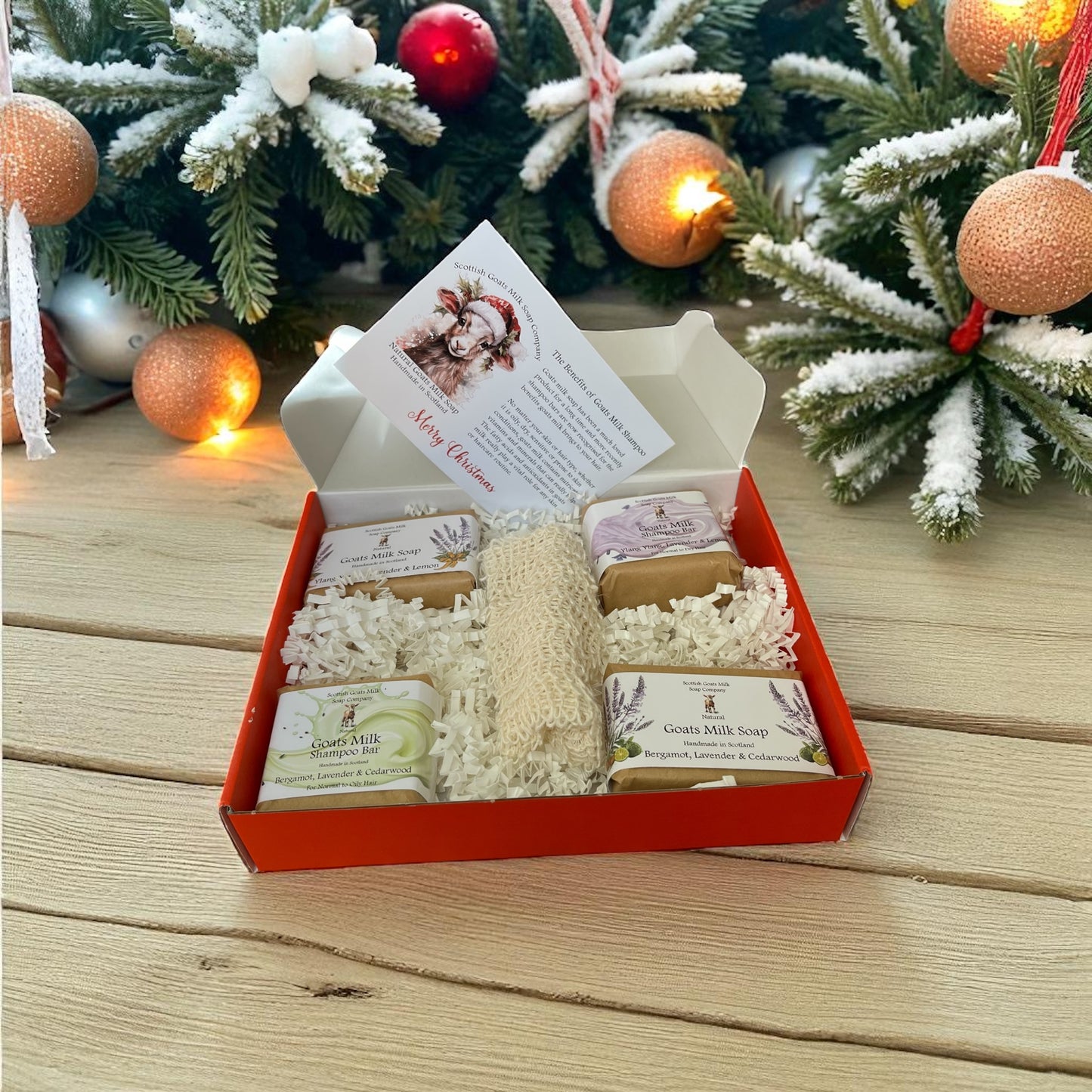Christmas Goats Milk Soap & Shampoo Bar with Soap Bag Gift Set | 2 Boxes to Choose From | Gift Boxed