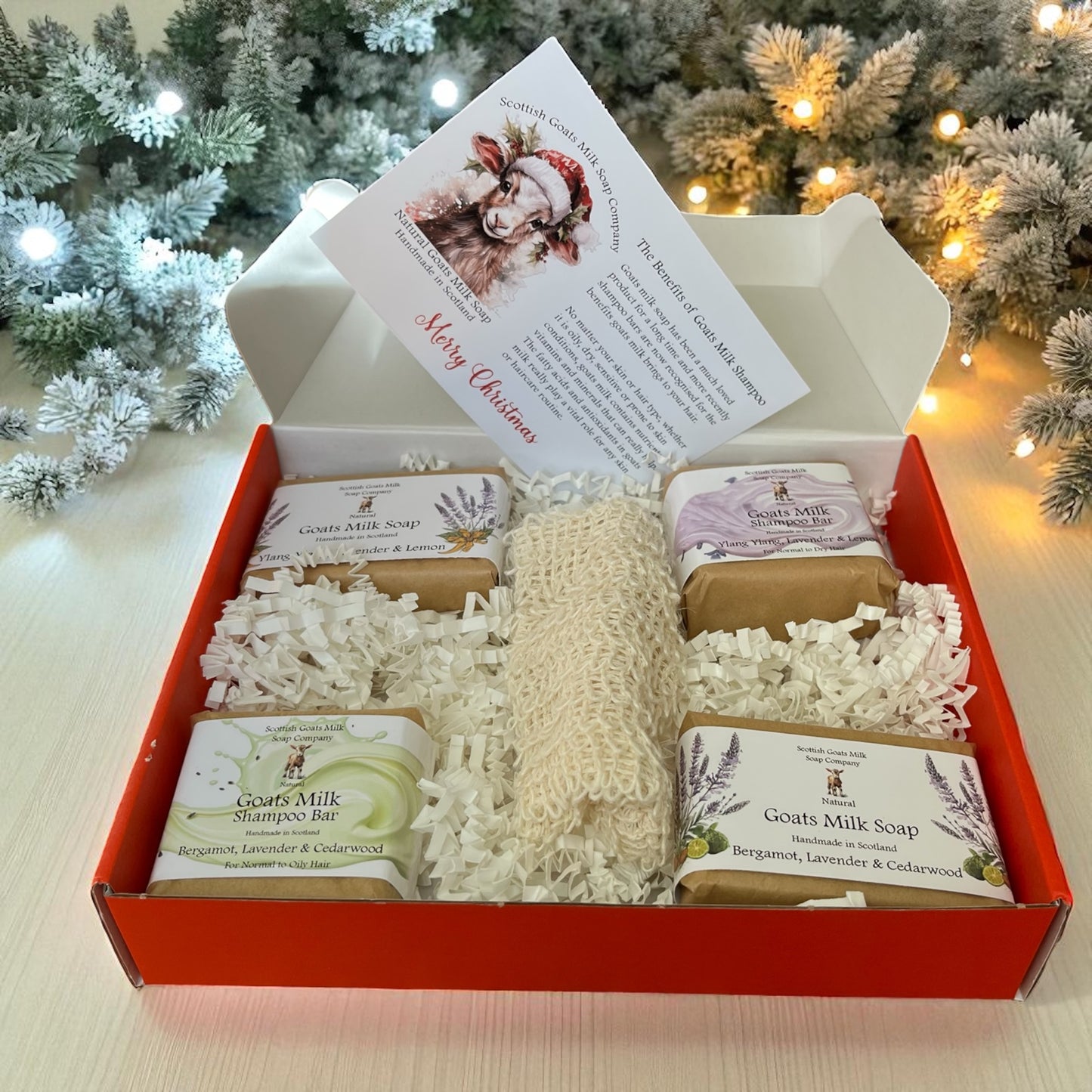 Christmas Goats Milk Soap & Shampoo Bar with Soap Bag Gift Set | 2 Boxes to Choose From | Gift Boxed