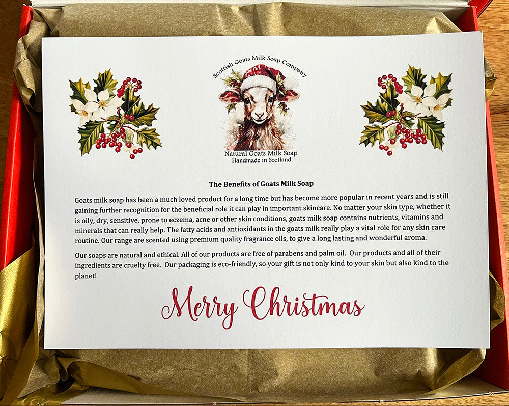 Christmas Goats Milk Soap Bar Gift Set | 2 Boxes to Choose From | Gift Boxed