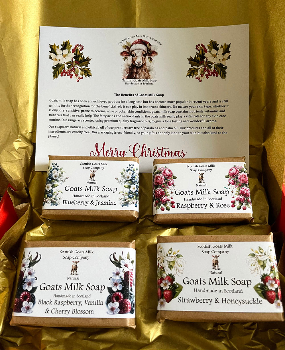 Christmas Goats Milk Soap Bar Gift Set | 2 Boxes to Choose From | Gift Boxed