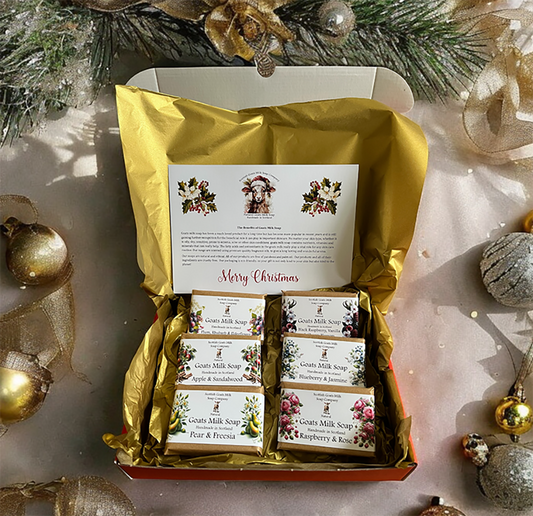 Deluxe Christmas Goats Milk Soap Bar Gift Set | Box of 6 Scents | Gift Boxed