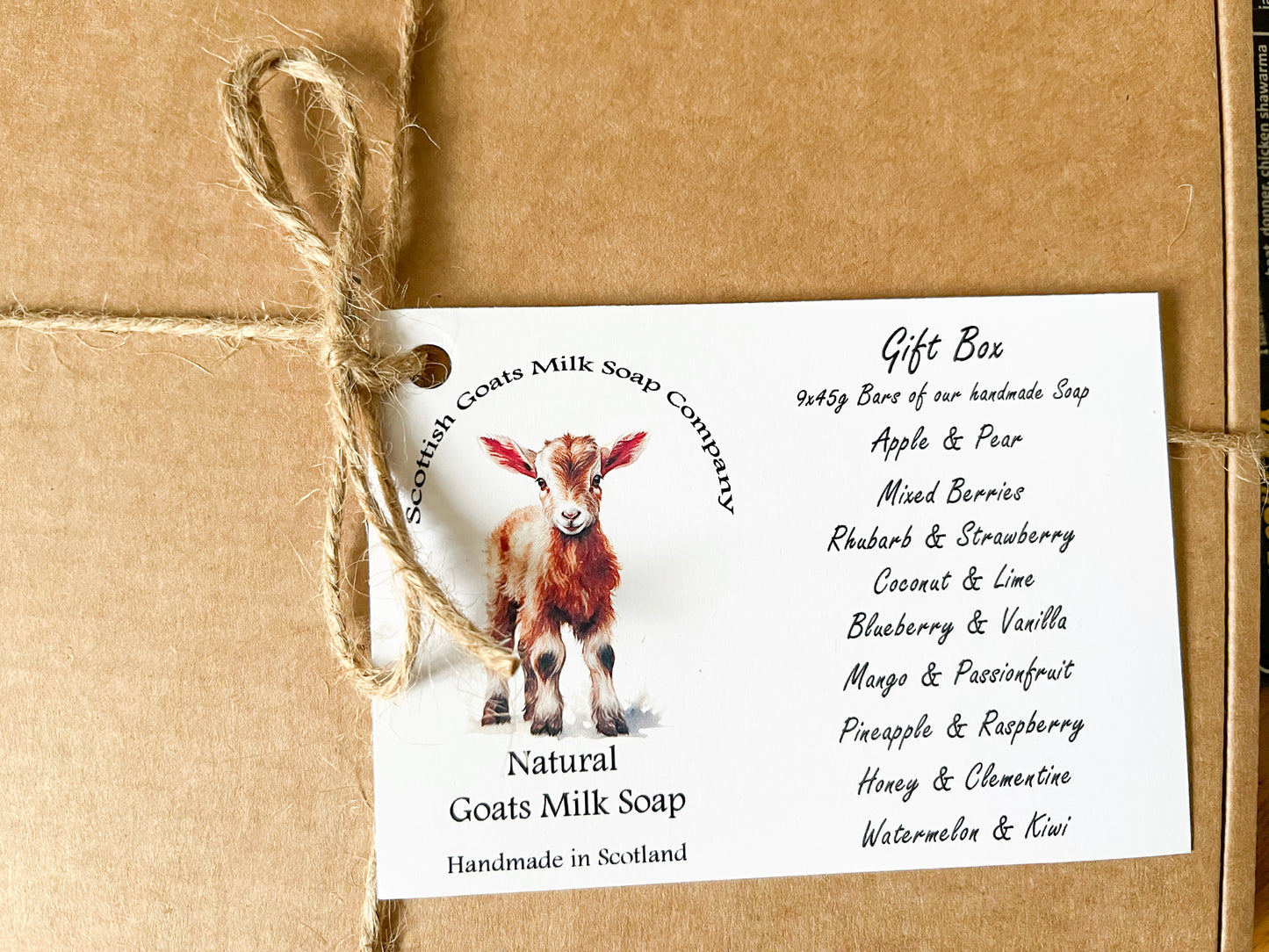 Guest Size Fruit Scented Goats Milk Soap Bar Gift Set | 9 Varieties | Gift Boxed