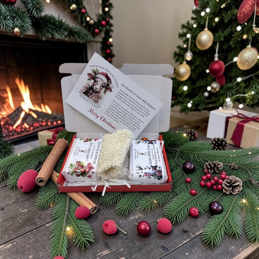 Christmas Goats Milk Soap Bar & Soap Bag Gift Set | 2 Boxes to Choose From | Gift Boxed