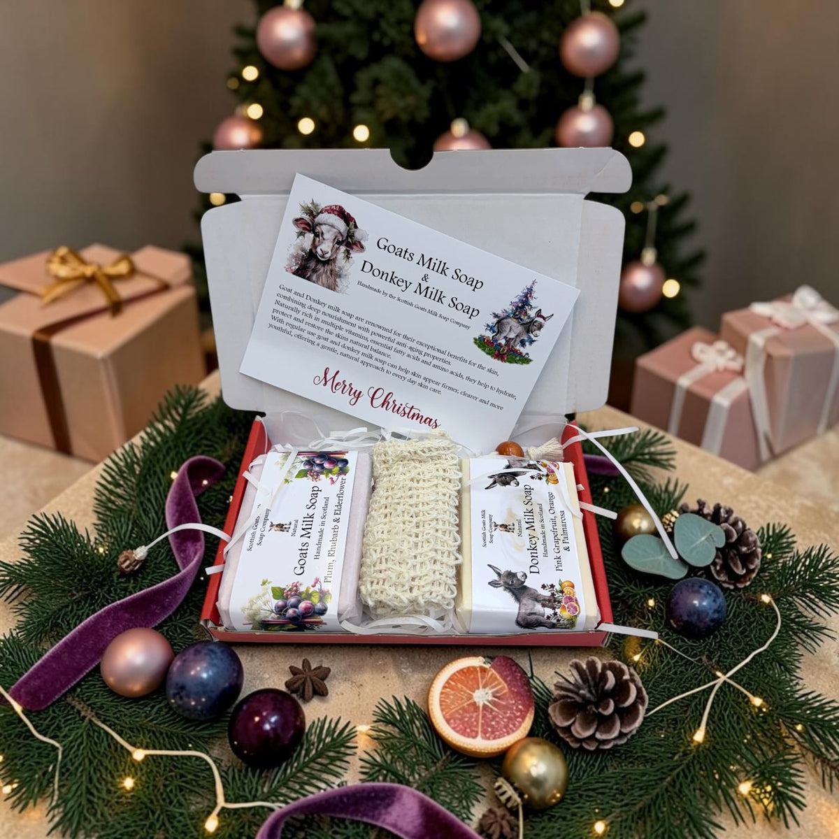 Christmas Goat & Donkey Milk Soap Bar & Soap Bag Gift Set | 1 Bar of Each Kind of Soap | 2 Different Scents | 2 Boxes to Choose From | Gift Boxed