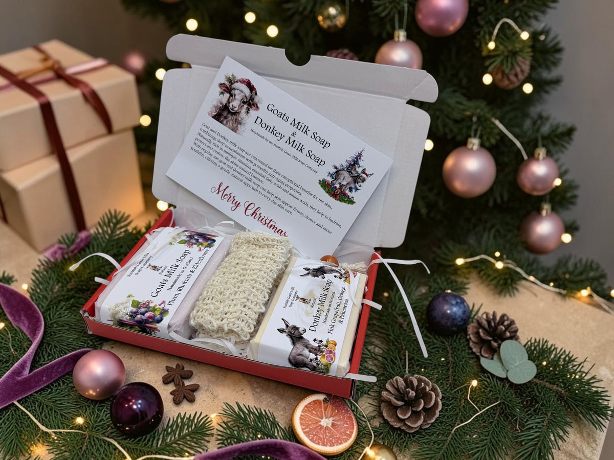 Christmas Goat & Donkey Milk Soap Bar & Soap Bag Gift Set | 1 Bar of Each Kind of Soap | 2 Different Scents | 2 Boxes to Choose From | Gift Boxed