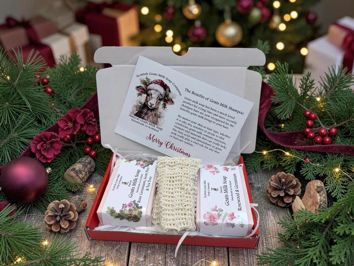Christmas Goats Milk Soap Bar & Soap Bag Gift Set | 2 Boxes to Choose From | Gift Boxed