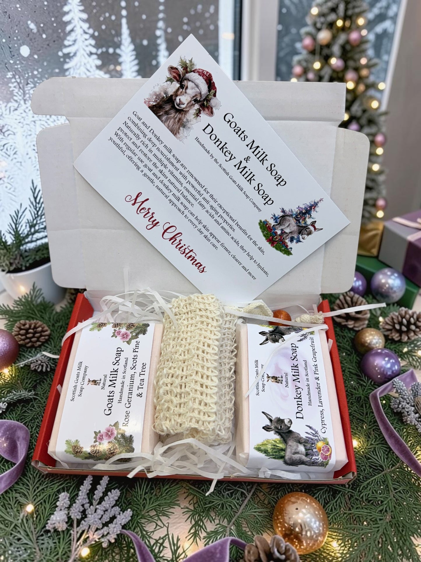 Christmas Goat & Donkey Milk Soap Bar & Soap Bag Gift Set | 1 Bar of Each Kind of Soap | 2 Different Scents | 2 Boxes to Choose From | Gift Boxed
