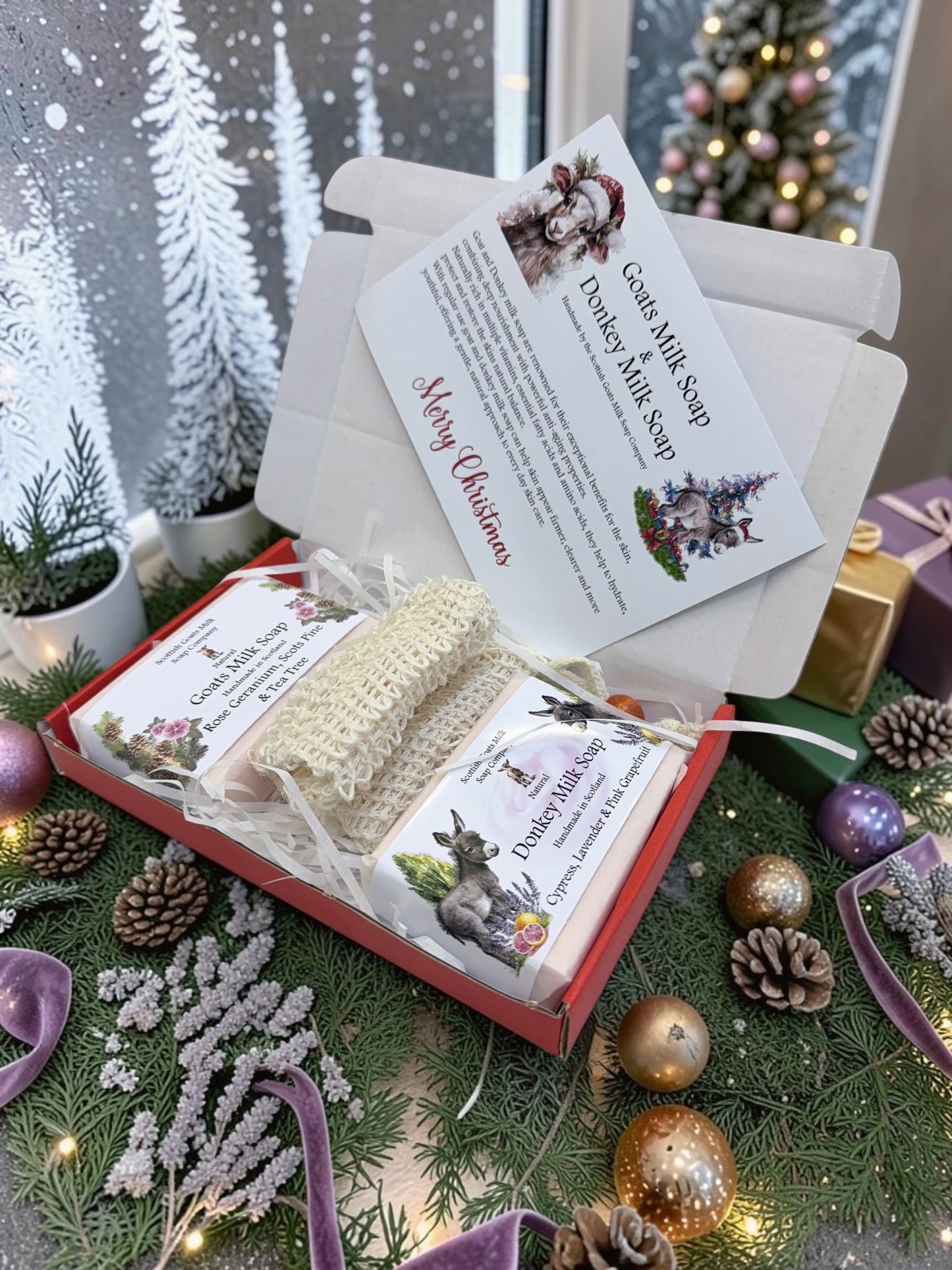 Christmas Goat & Donkey Milk Soap Bar & Soap Bag Gift Set | 1 Bar of Each Kind of Soap | 2 Different Scents | 2 Boxes to Choose From | Gift Boxed