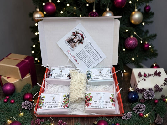 Christmas 4 Bar Goats Milk or Goat and Donkey Milk Soap Bar & Soap Bag Gift Set | 3 Boxes to Choose From | Gift Boxed