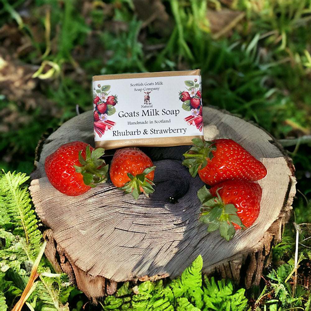 Rhubarb and Strawberry Soap Bar | Handmade Goats Milk Soap