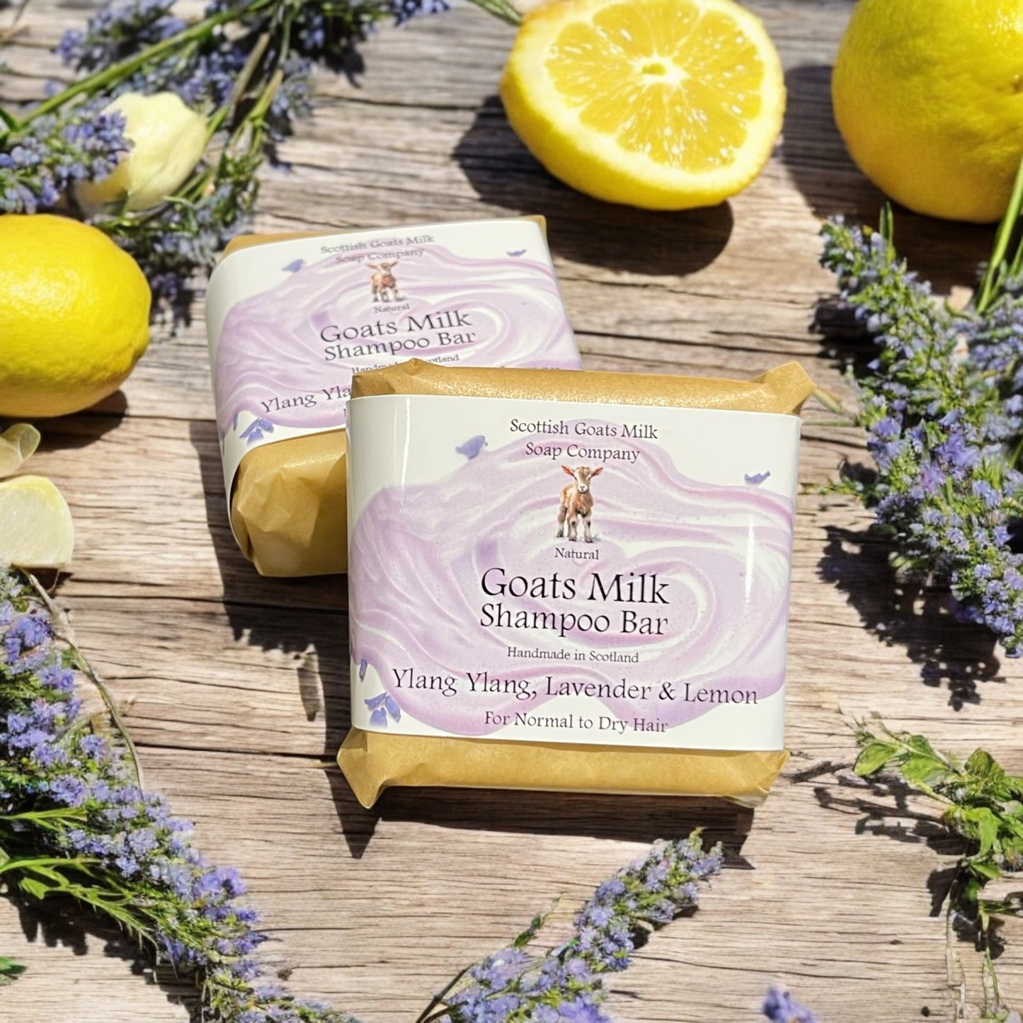 Natural (Unscented) Soap Bar | Handmade Goats Milk Shampoo Bar & Second Bar Of Your Choice