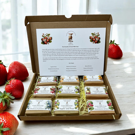 Guest Size Fruit Scented Goats Milk Soap Bar Gift Set | 9 Varieties | Gift Boxed