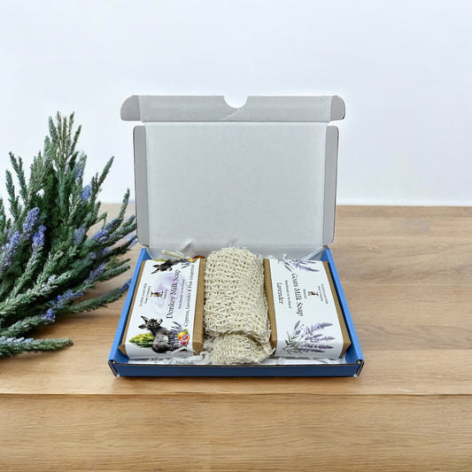 Essential Oil Goat & Donkey Milk Soap Bar & Soap Bag Gift Set | 1 Bar of Each Kind of Soap | 2 Different Scents | 8 Boxes to Choose From | Gift Boxed