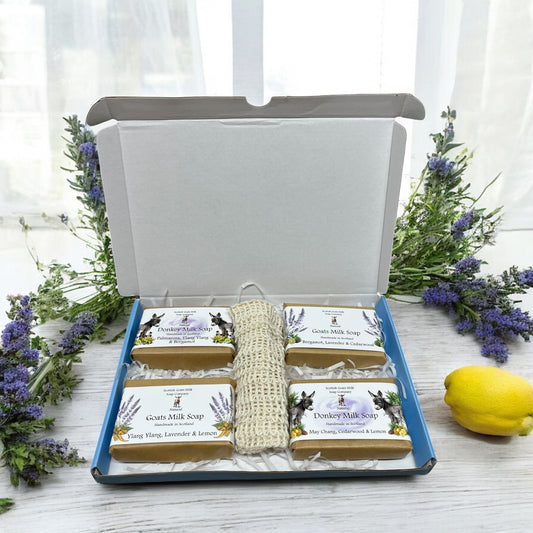 Essential Oil Donkey & Goats Milk Soap Bar & Soap Bag Gift Set | 2 Bars of Each Kind of Soap | 4 Different Scents | 4 Boxes to Choose From | Gift Boxed