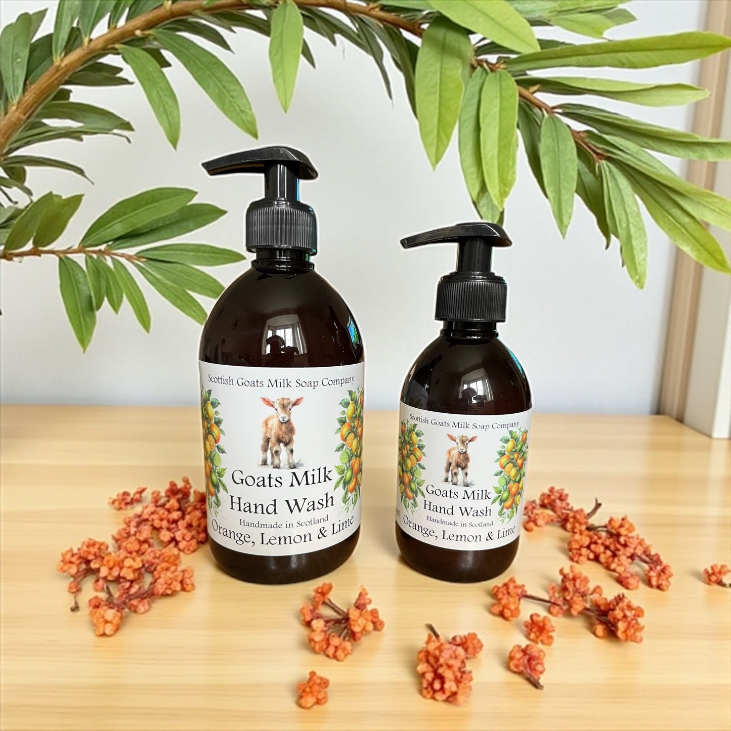 Handmade Goats Milk Hand Wash | Orange, Lemon & Lime