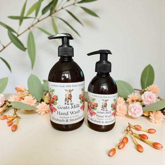 Handmade Goats Milk Hand Wash | Rhubarb & Strawberry