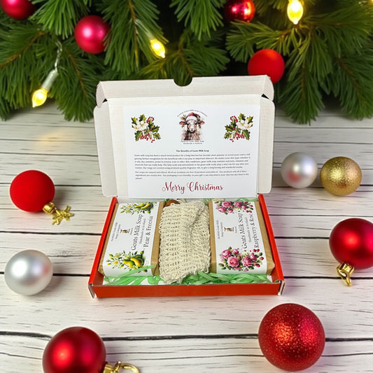 Christmas Goats Milk Soap Bar & Soap Bag Gift Set | 4 Boxes to Choose From | Gift Boxed
