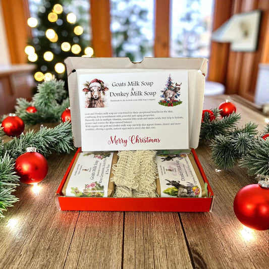 Christmas Goat & Donkey Milk Soap Bar & Soap Bag Gift Set | 4 Boxes to Choose From | Gift Boxed