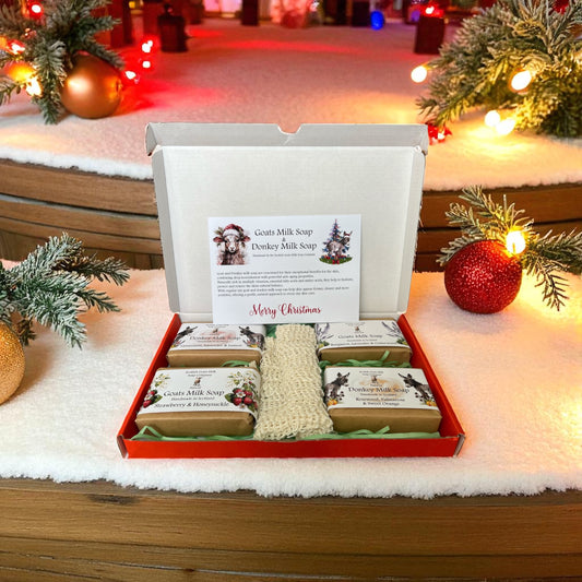 Christmas Goat & Donkey Milk Soap Bar Gift Set | 2 Boxes to Choose From | Gift Boxed