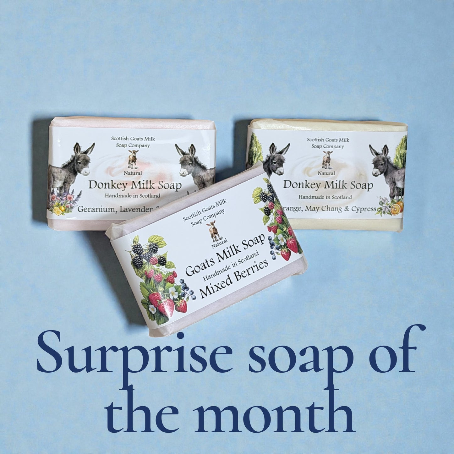 Surprise Soap of the Month - Handmade Goat's Milk and Donkey Milk Soap Subscription
