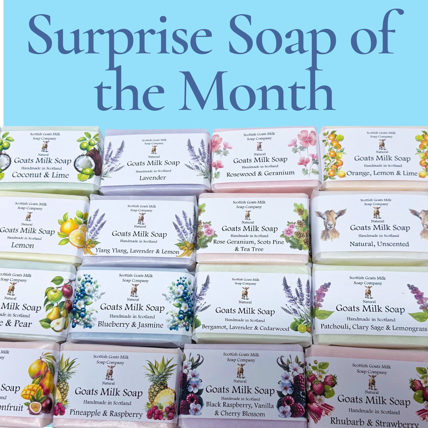 Surprise Soap of the Month - Handmade Goat's Milk and Donkey Milk Soap Subscription