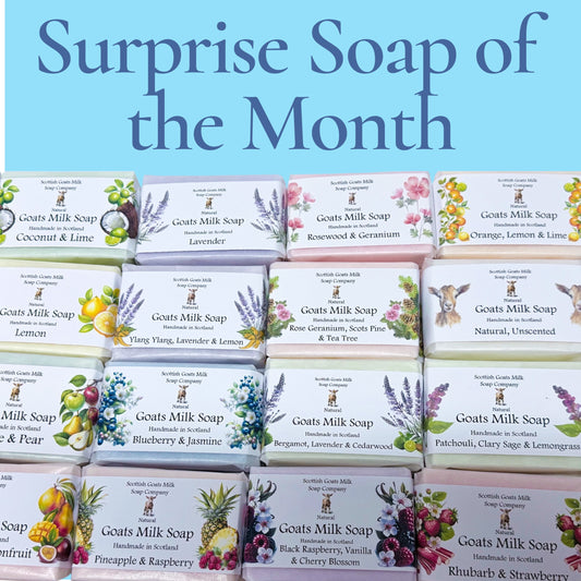 Surprise Soap of the Month - Handmade Goat's Milk and Donkey Milk Soap Subscription