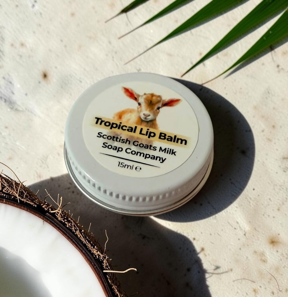 Tropical Lip Balm | Handmade Natural Lip Balm | Tropical Flavoured