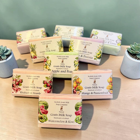 Guest Size Soap Bars (45g) | Handmade Goats Milk Soap | 8 Fruit Scents To Choose From