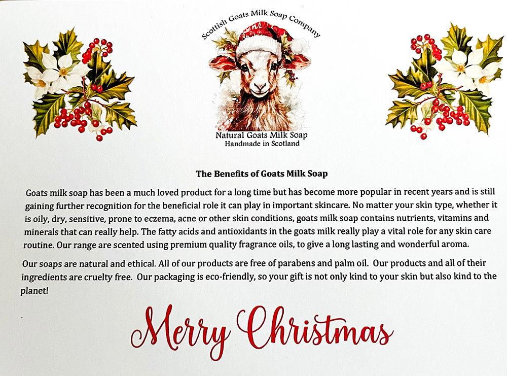 Christmas Goats Milk Soap Bar Gift Set | 2 Boxes to Choose From | Gift Boxed