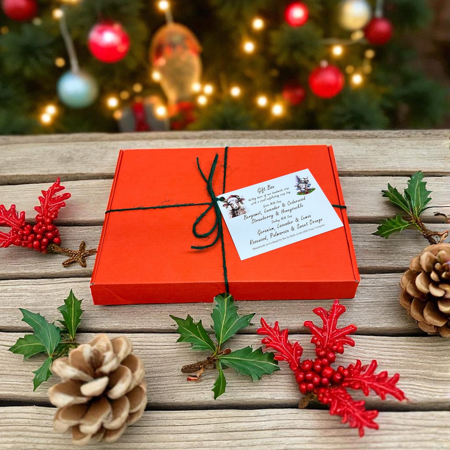 Christmas Goat & Donkey Milk Soap Bar Gift Set | 2 Boxes to Choose From | Gift Boxed
