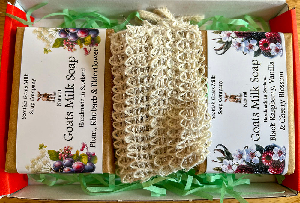 Christmas Goats Milk Soap Bar & Soap Bag Gift Set | 4 Boxes to Choose From | Gift Boxed